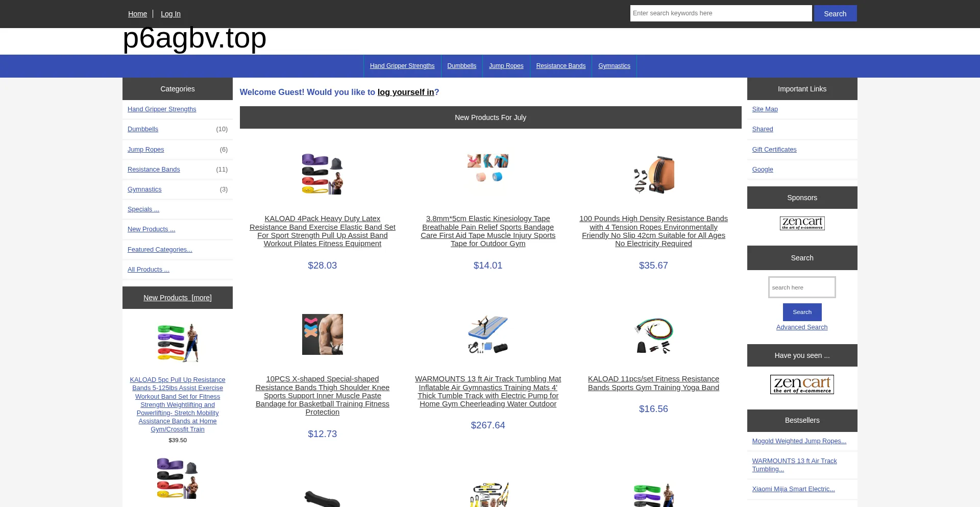 Website screenshot of P6agbv.top