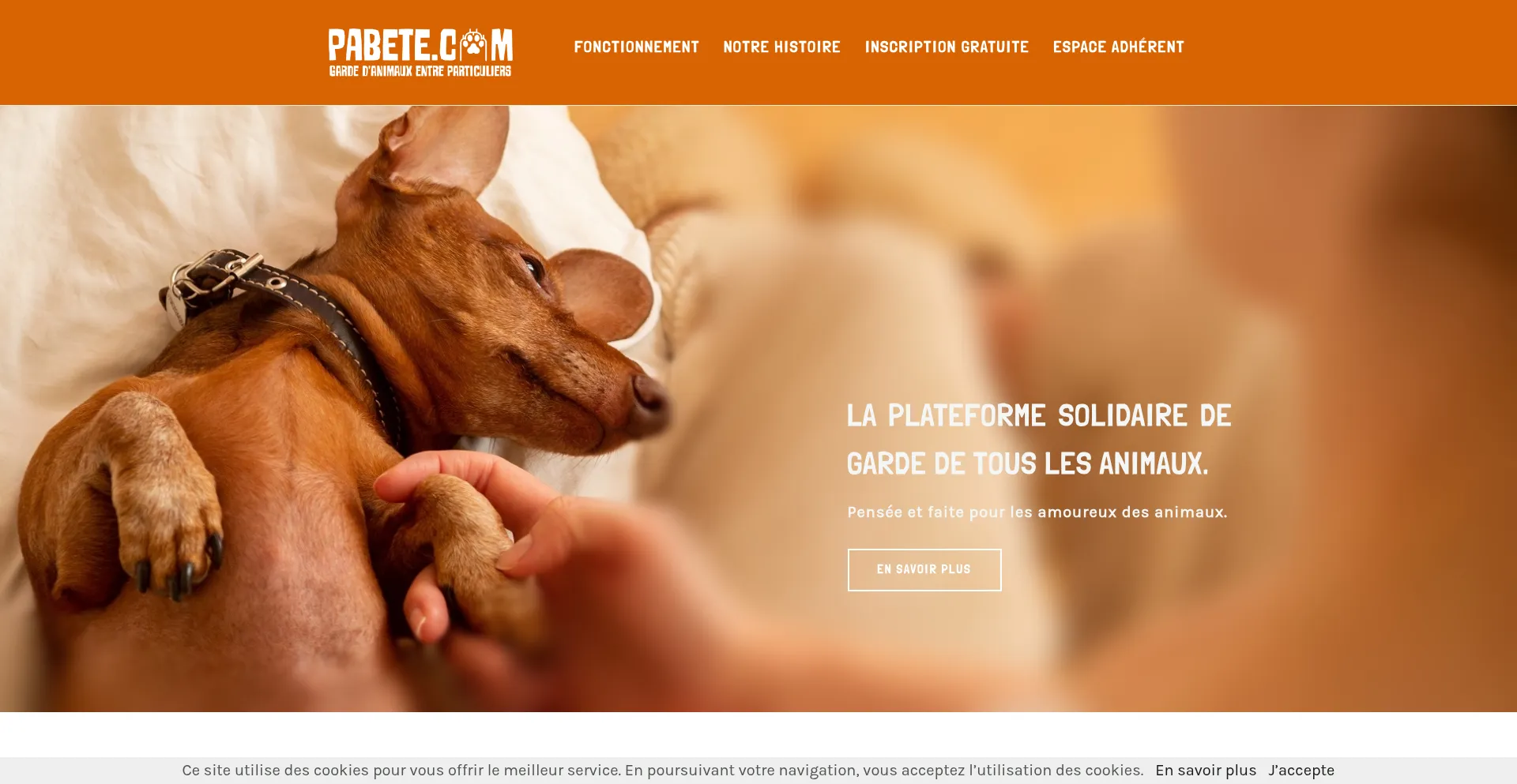 Website screenshot of Pabete.com