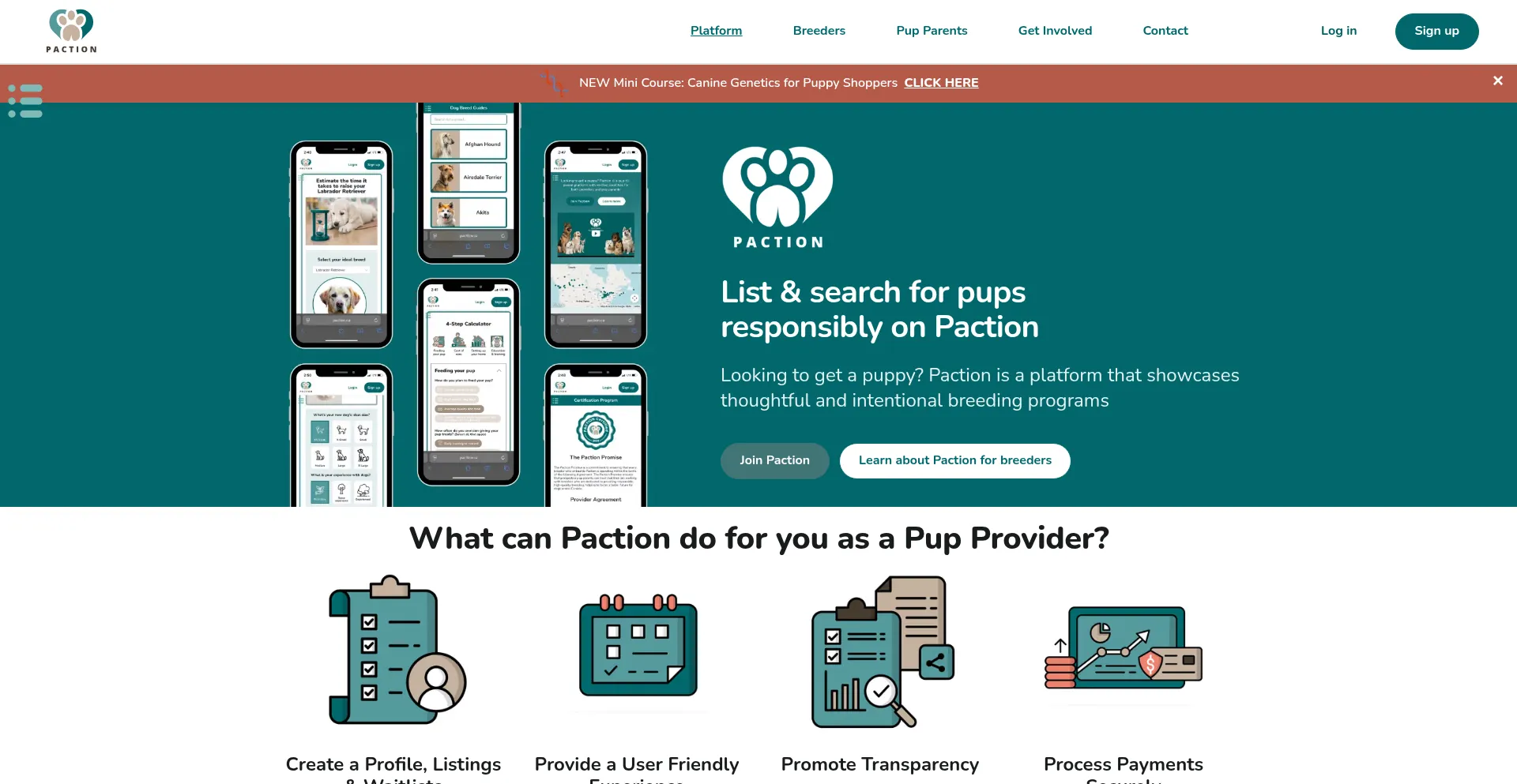 Paction.ca