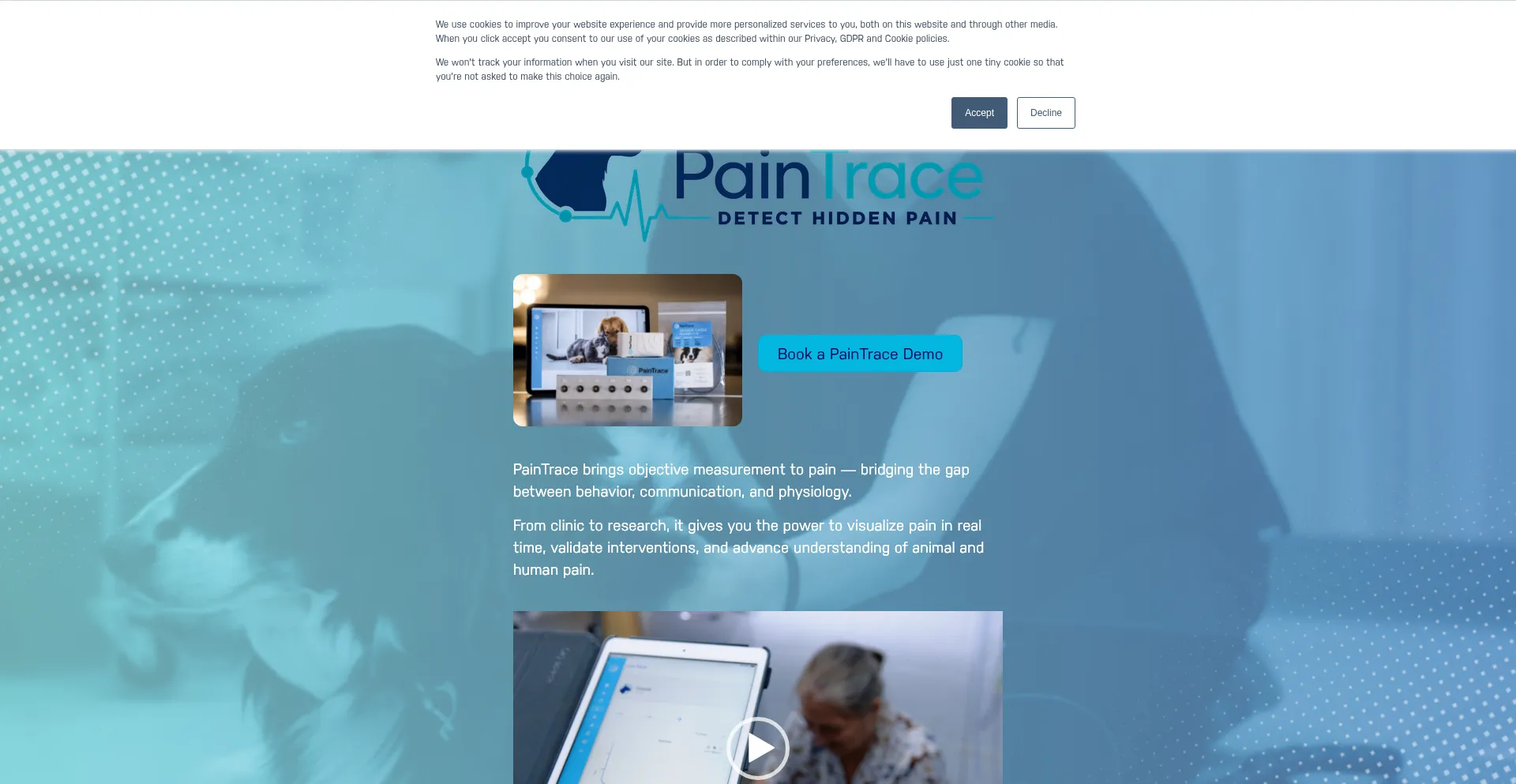 Paintrace.com