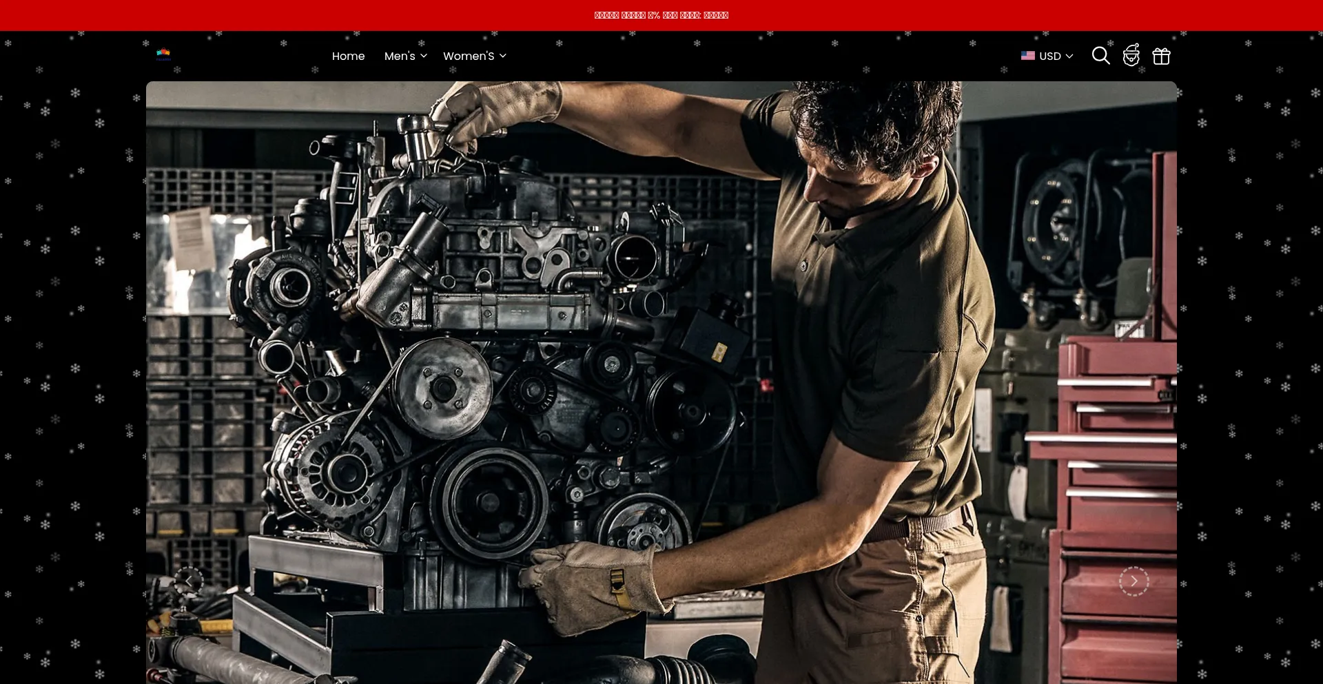Website screenshot of Palaqua.com