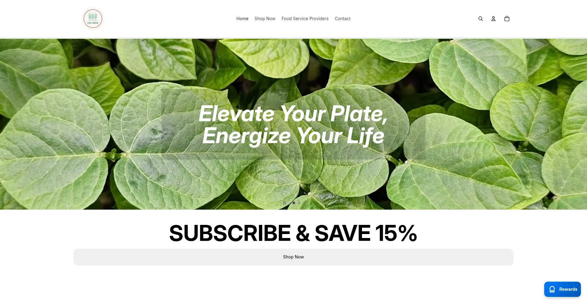 Website screenshot of Palizgreenz.ca