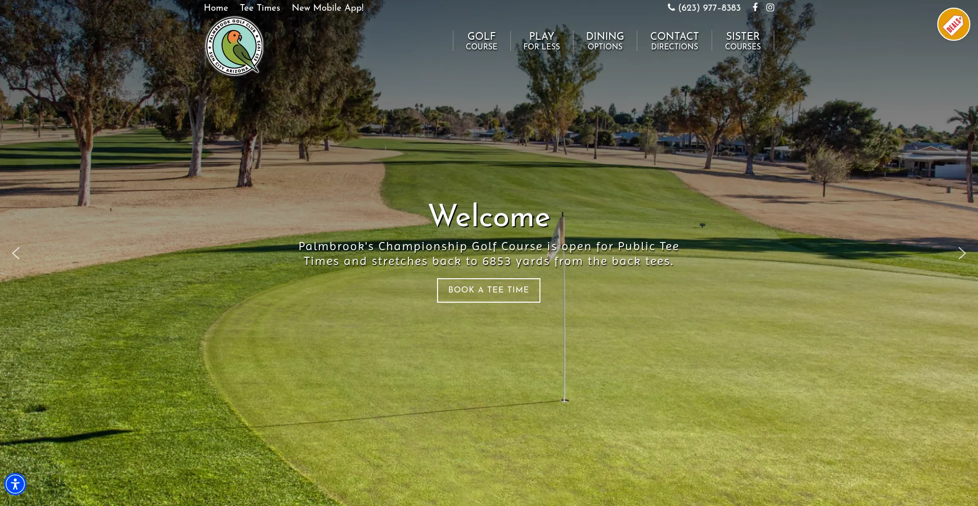 Website screenshot of Palmbrookgolf.com