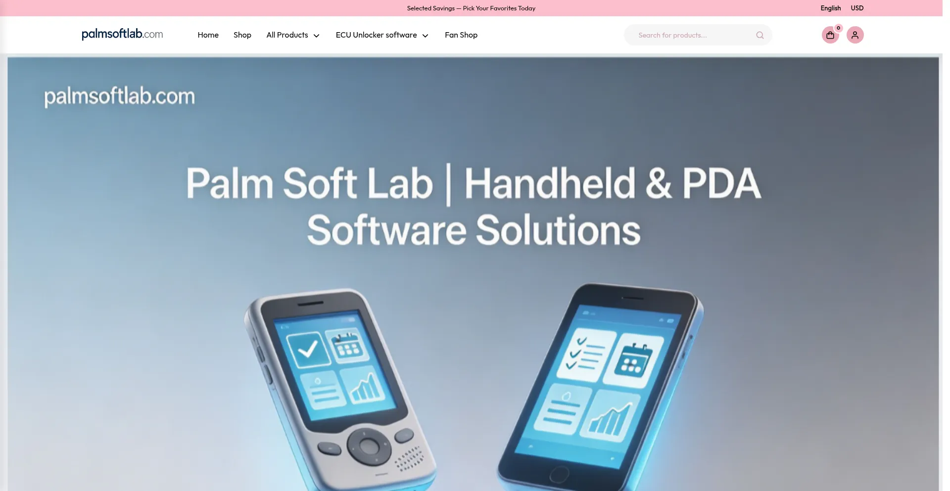 Palmsoftlab.com