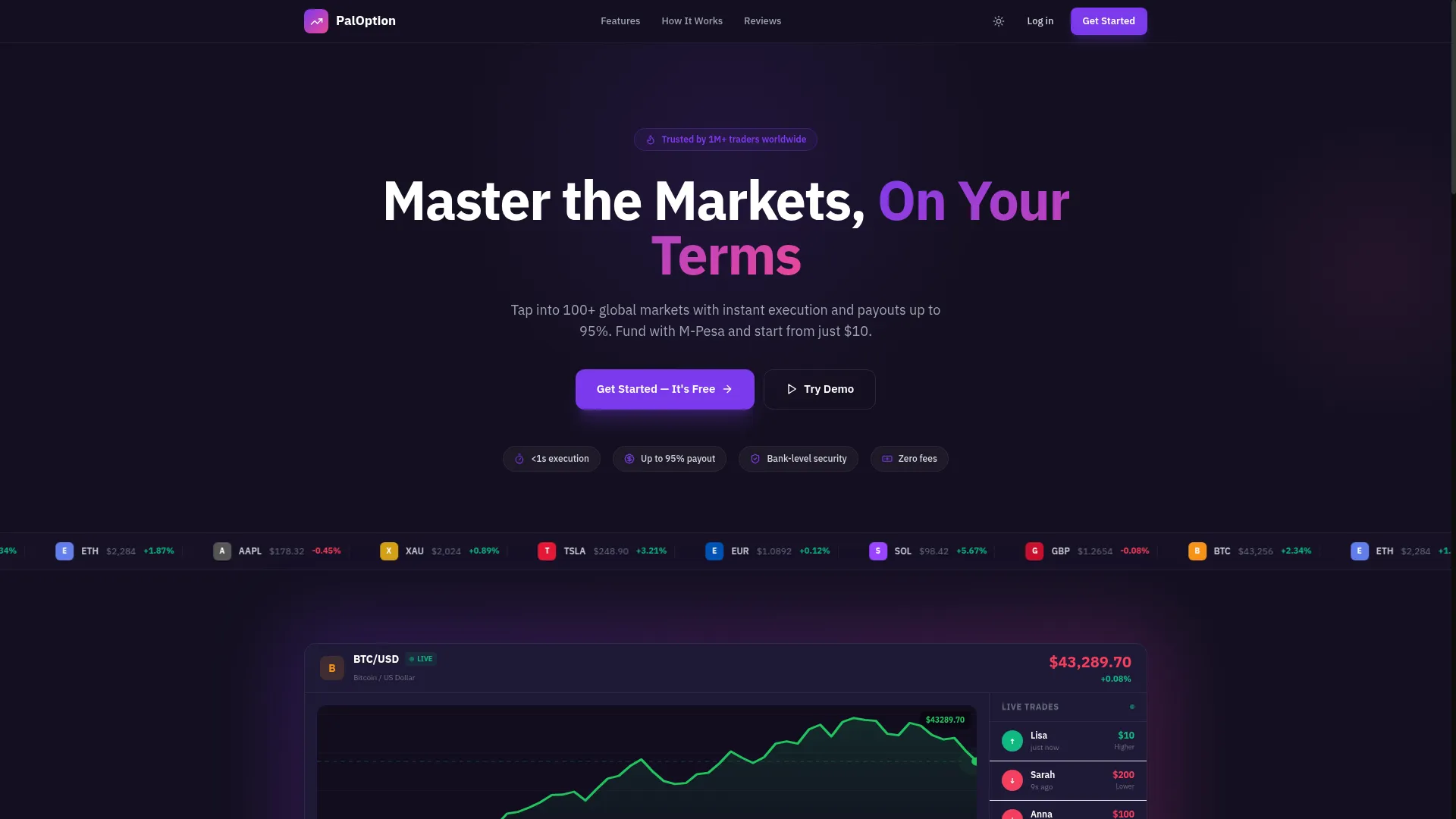 Paloption.com