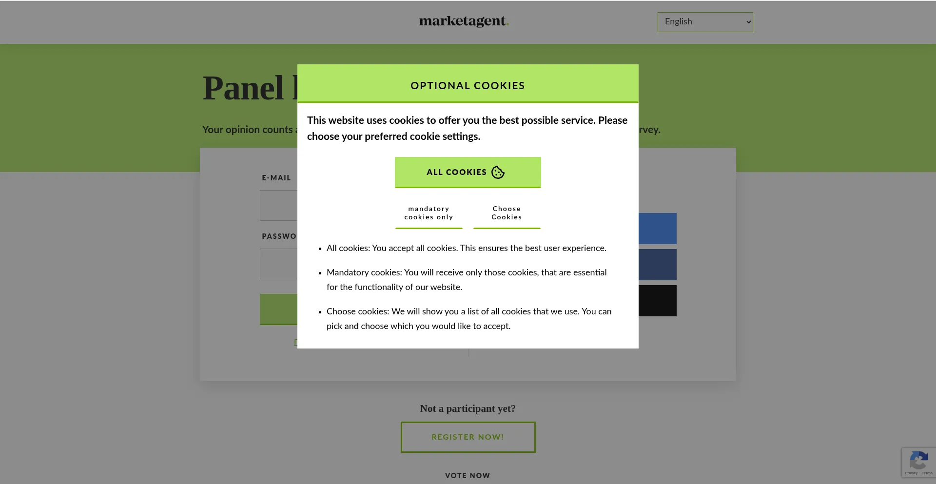 Website screenshot of Panel.marketagent.com