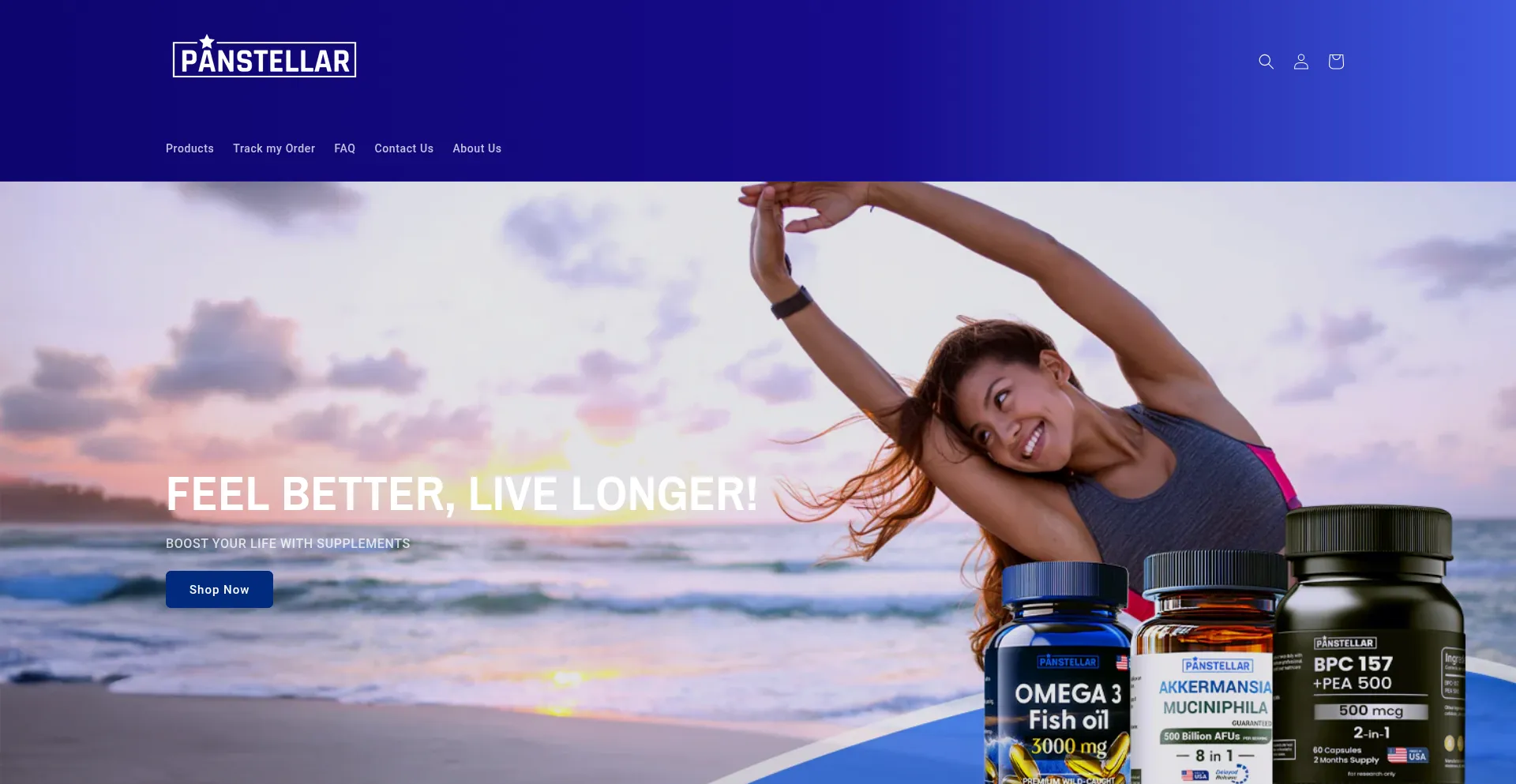 Website screenshot of Panstellar.shop