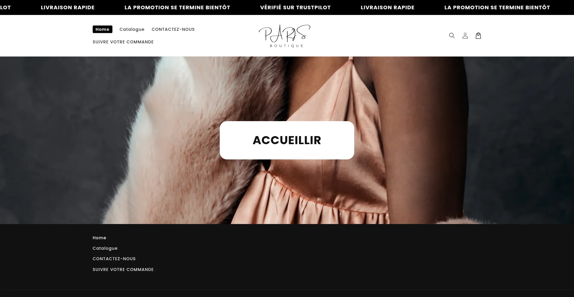 Website screenshot of Pariisboutiquee.com