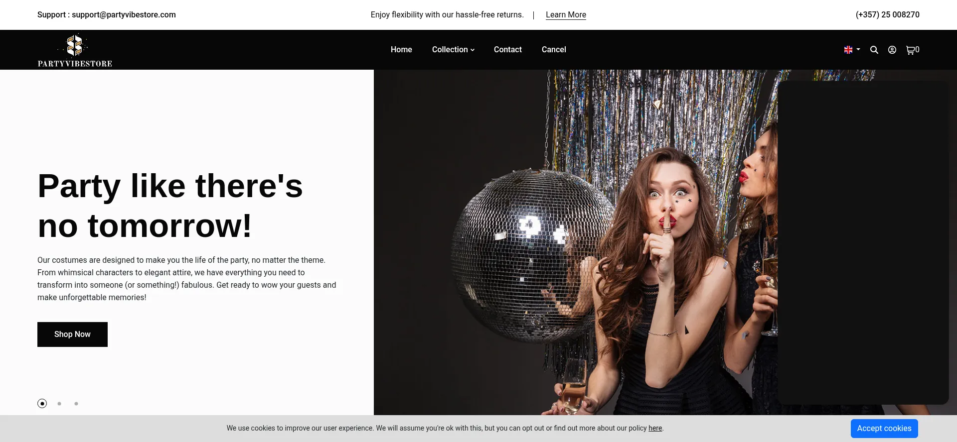 Website screenshot of Partyvibestore.com