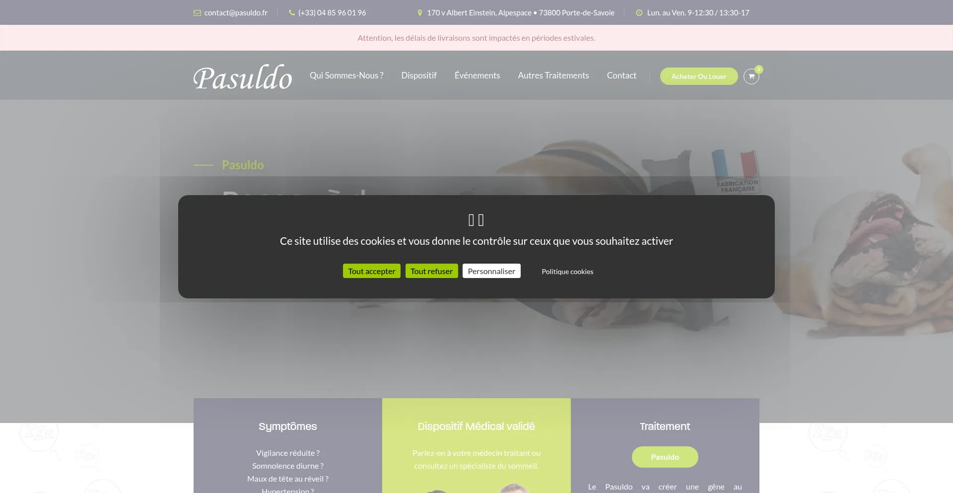 Website screenshot of Pasuldo.fr