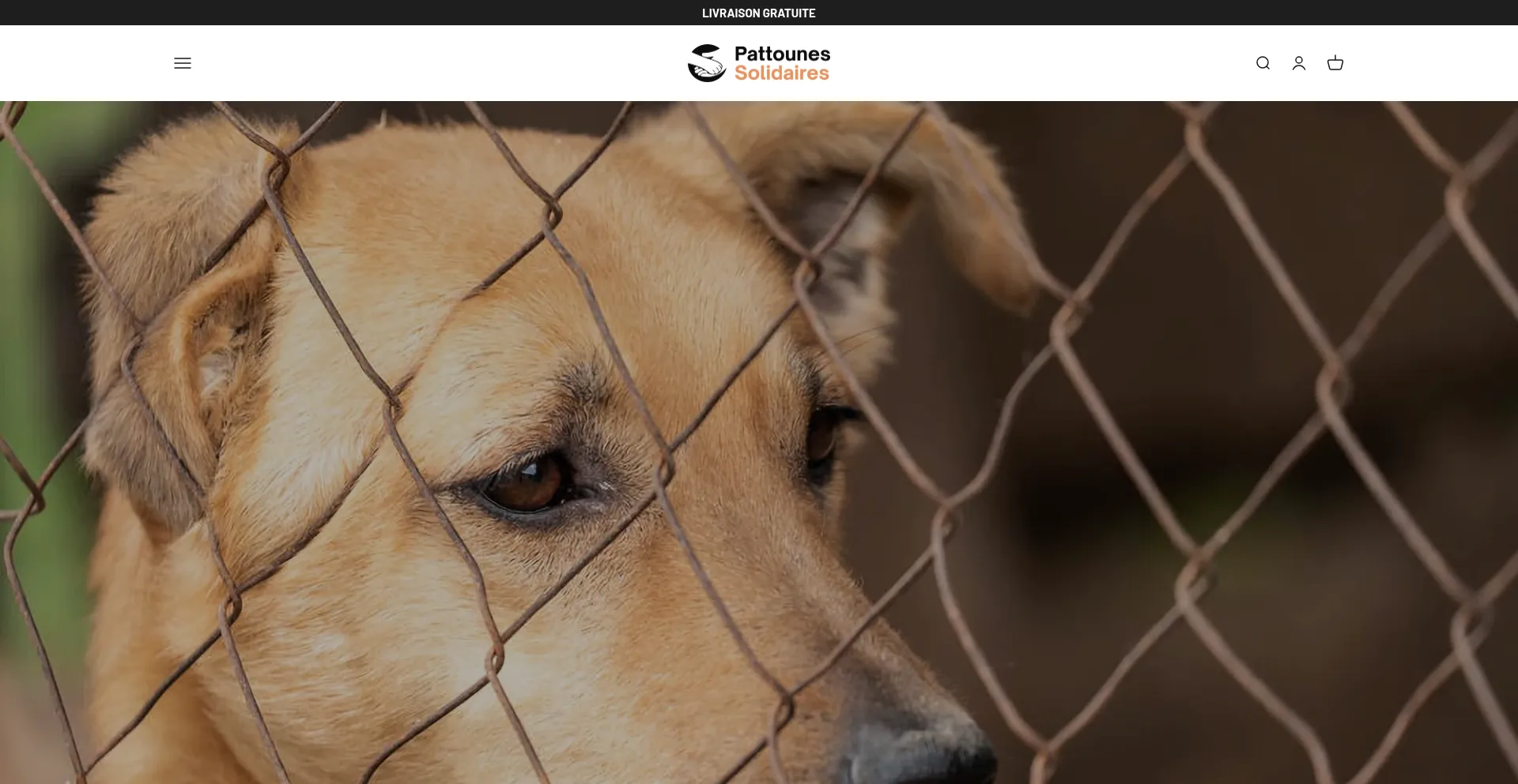 ¿És Seguro y Confiable Pattounes-solidaires.com?