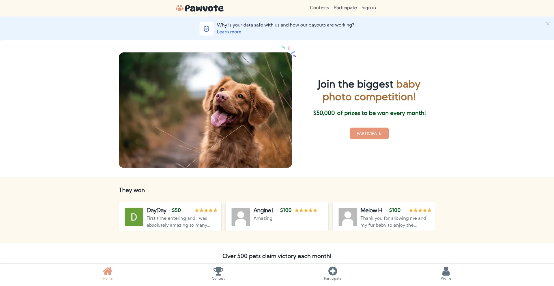 Pawvote.com