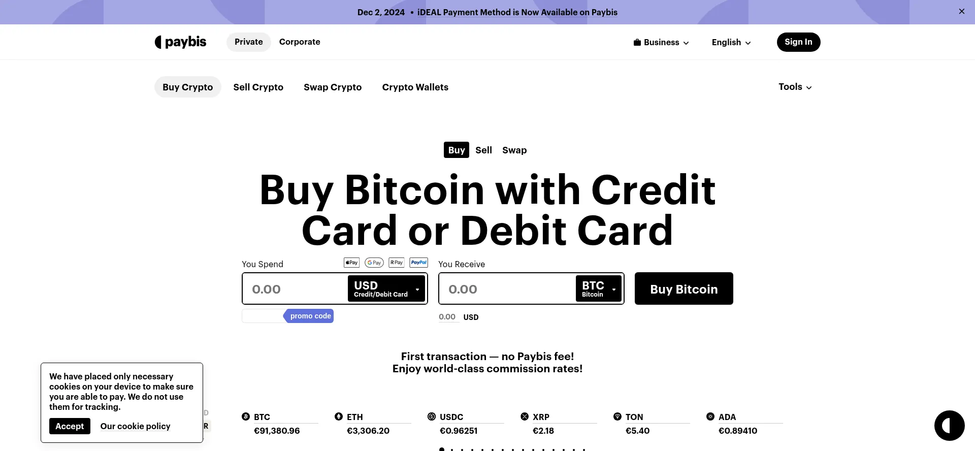 Website screenshot of Paybis.com