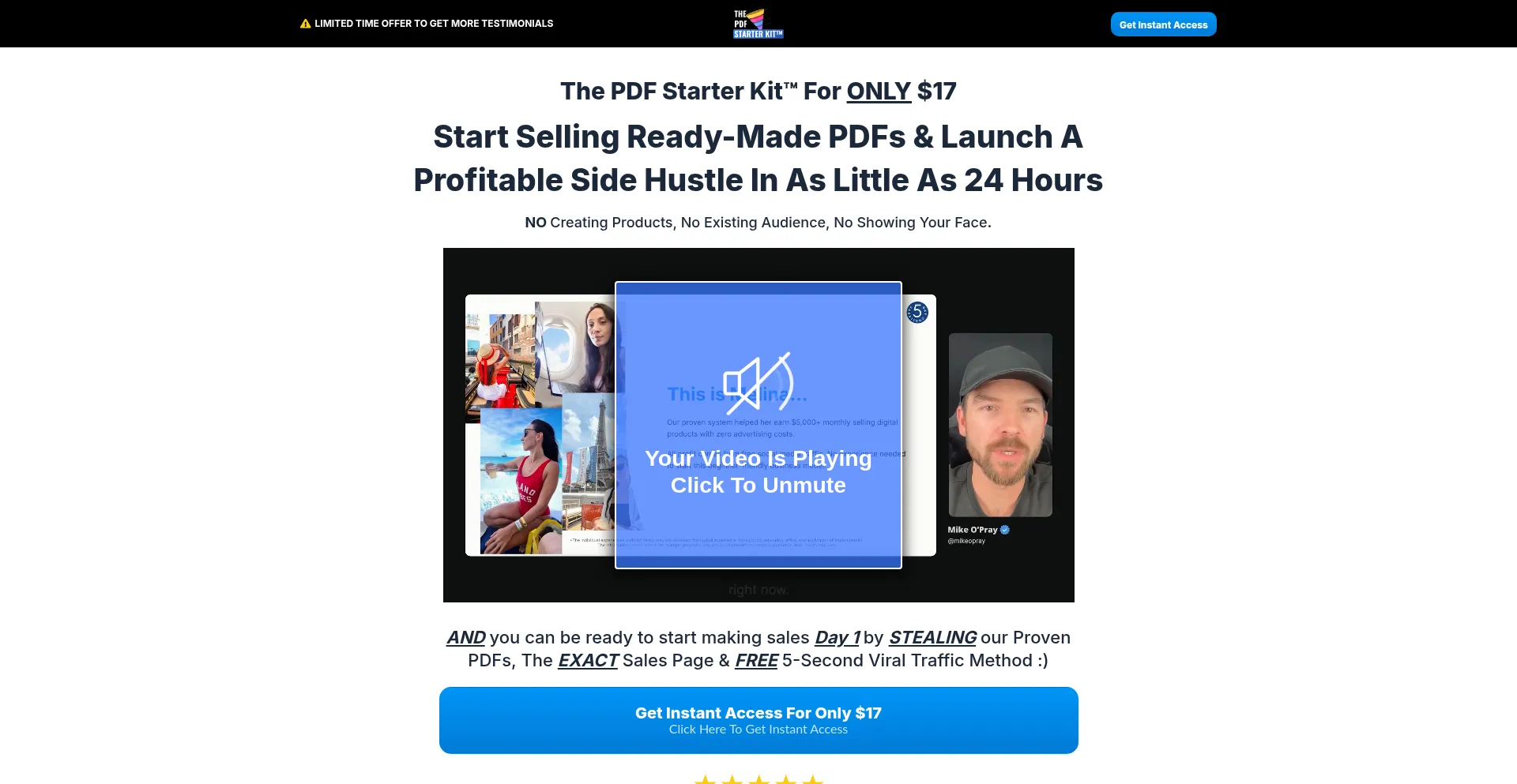 Website screenshot of Pdfstarterkit.com