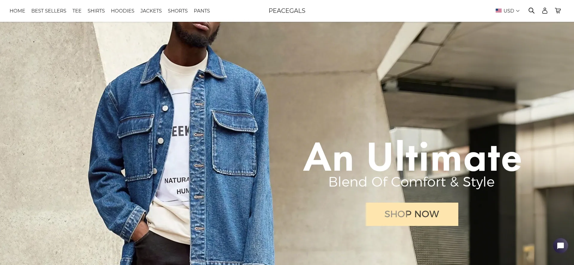 Website screenshot of Peacegals.com