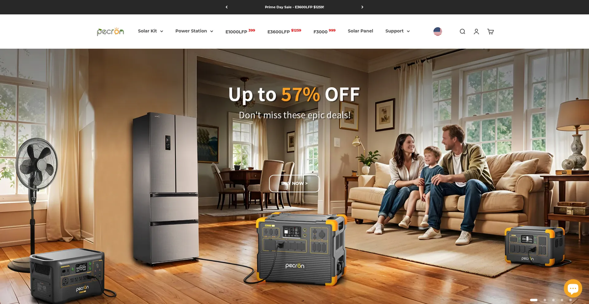 Website screenshot of Pecron.com