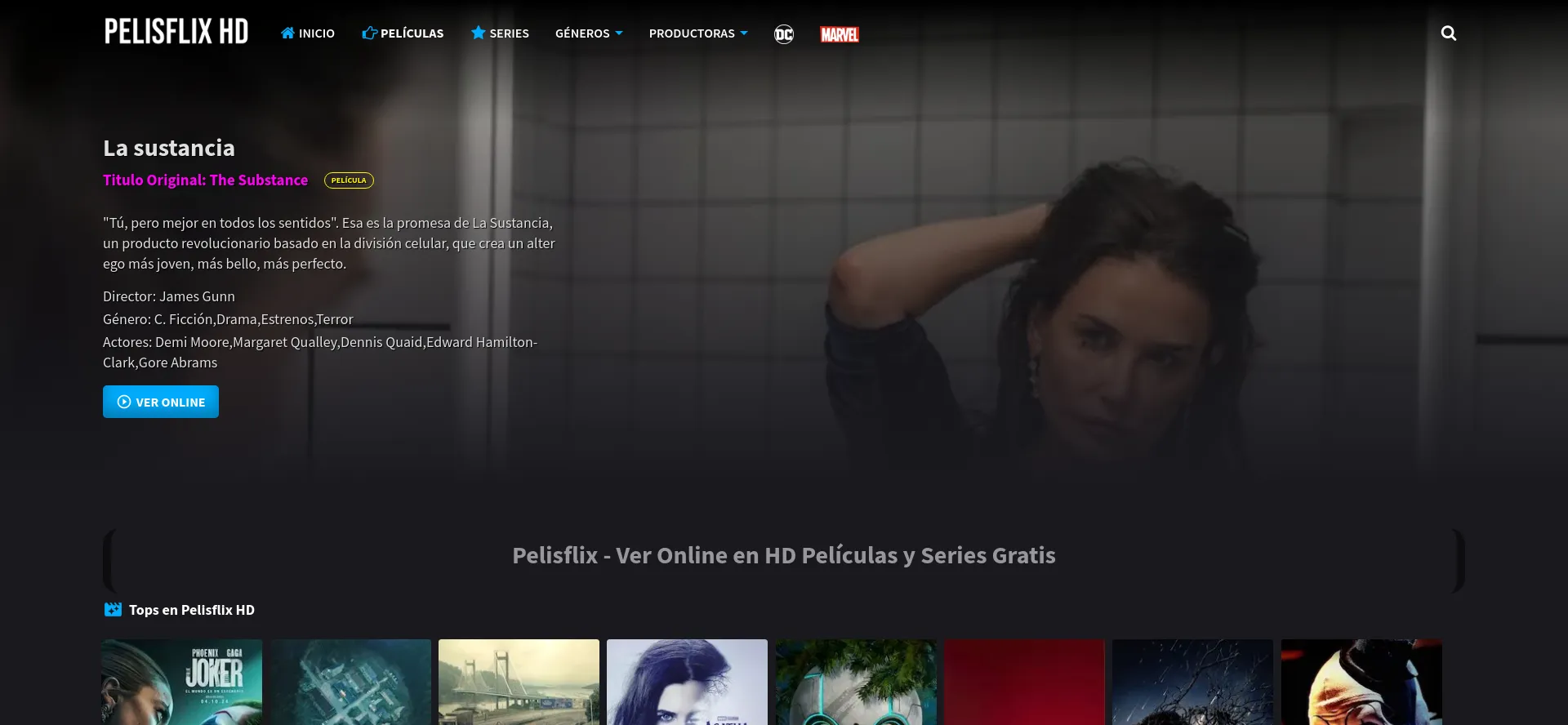 Website screenshot of Pelisflixhd.fun