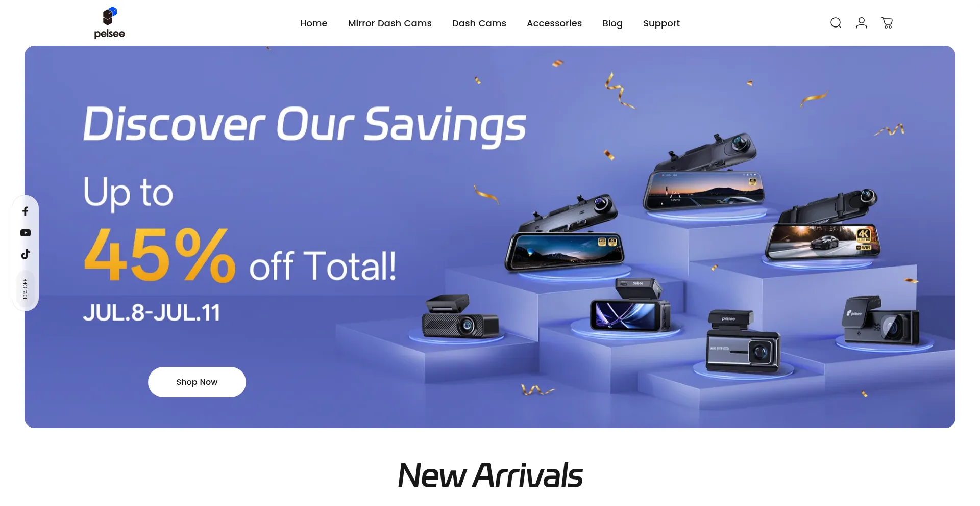 Website screenshot of Pelsee.com