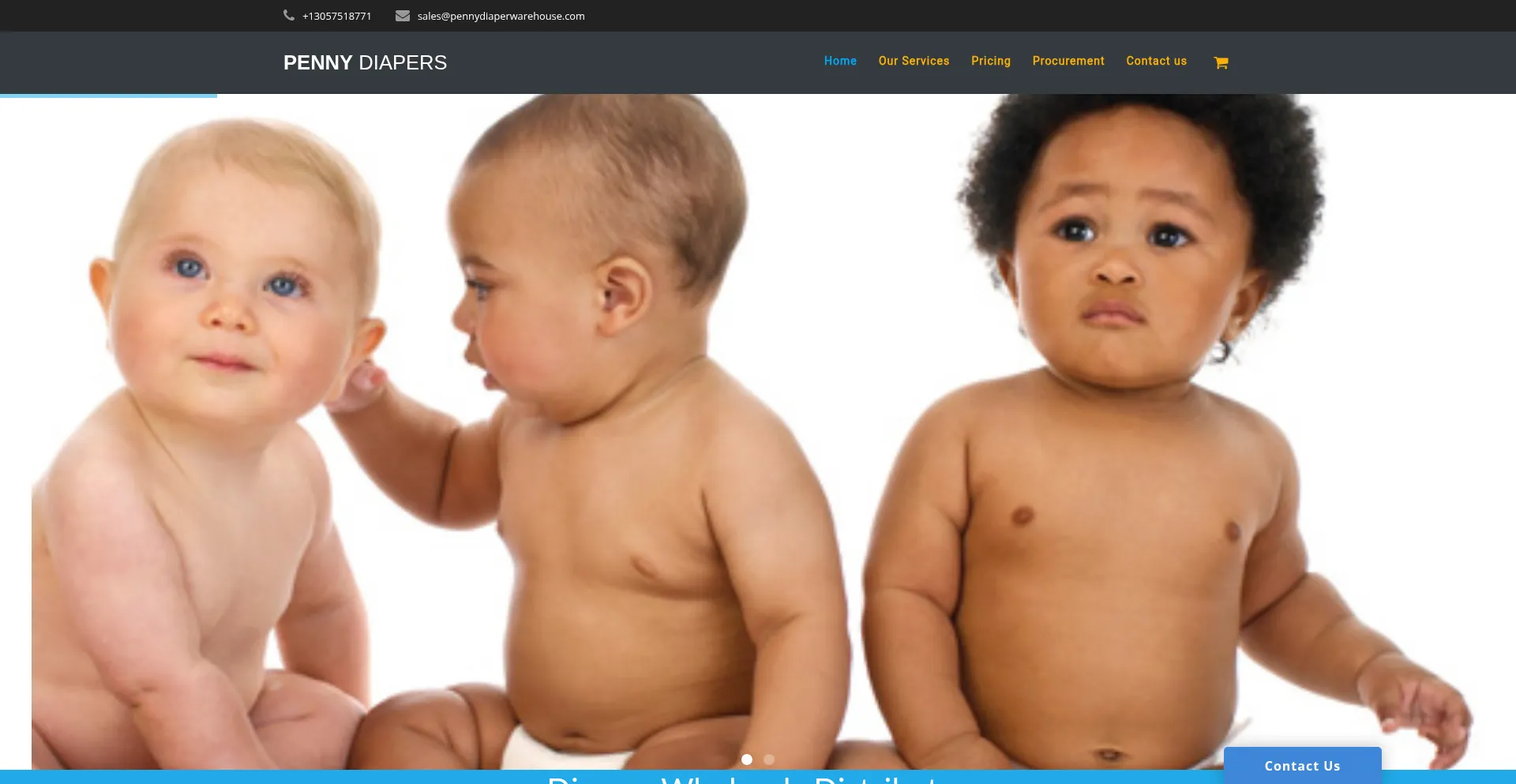Website screenshot of Pennydiapers.com