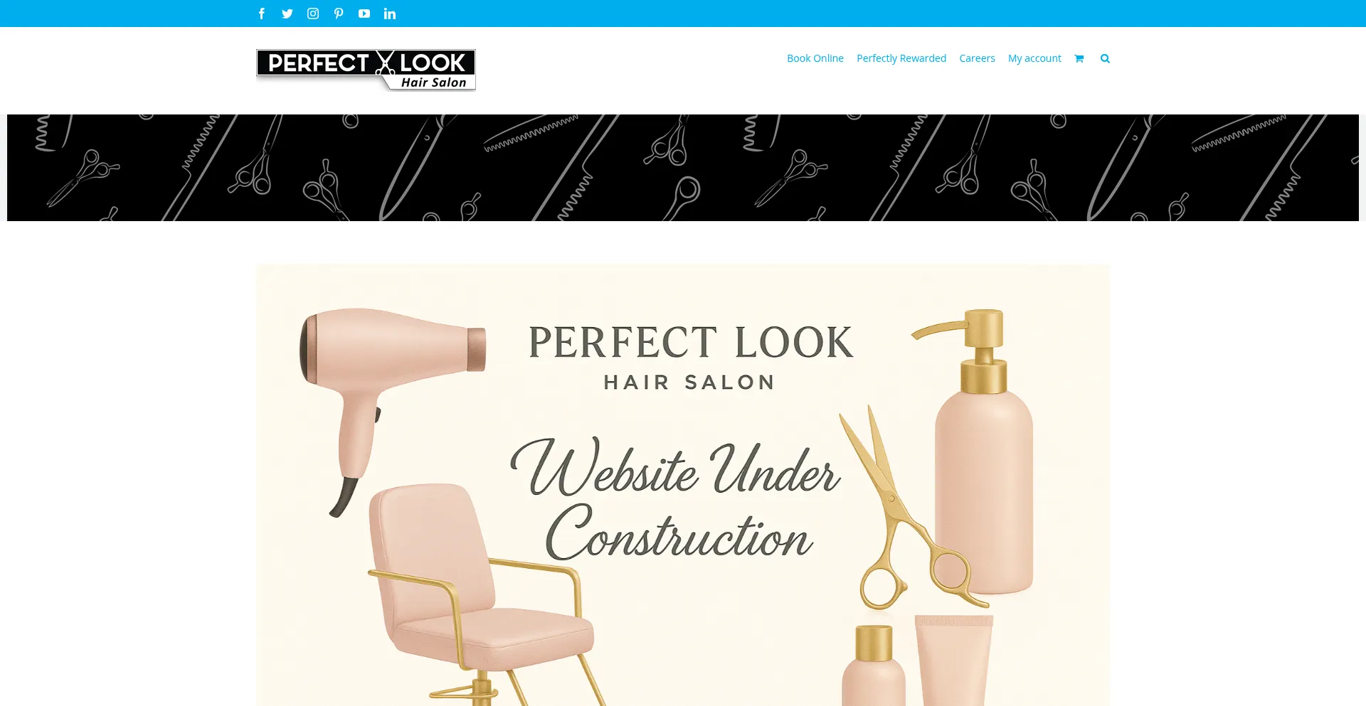 Website screenshot of Perfectlooksalons.com