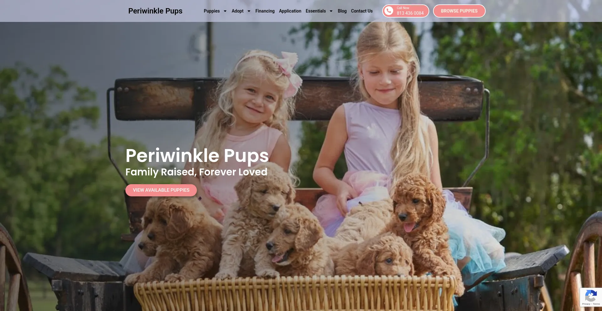 Periwinklepups.com