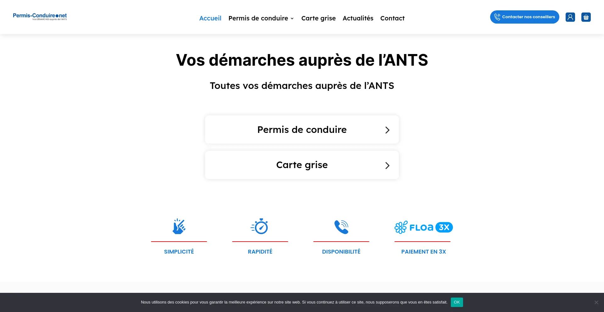 Website screenshot of Permis-conduire.net