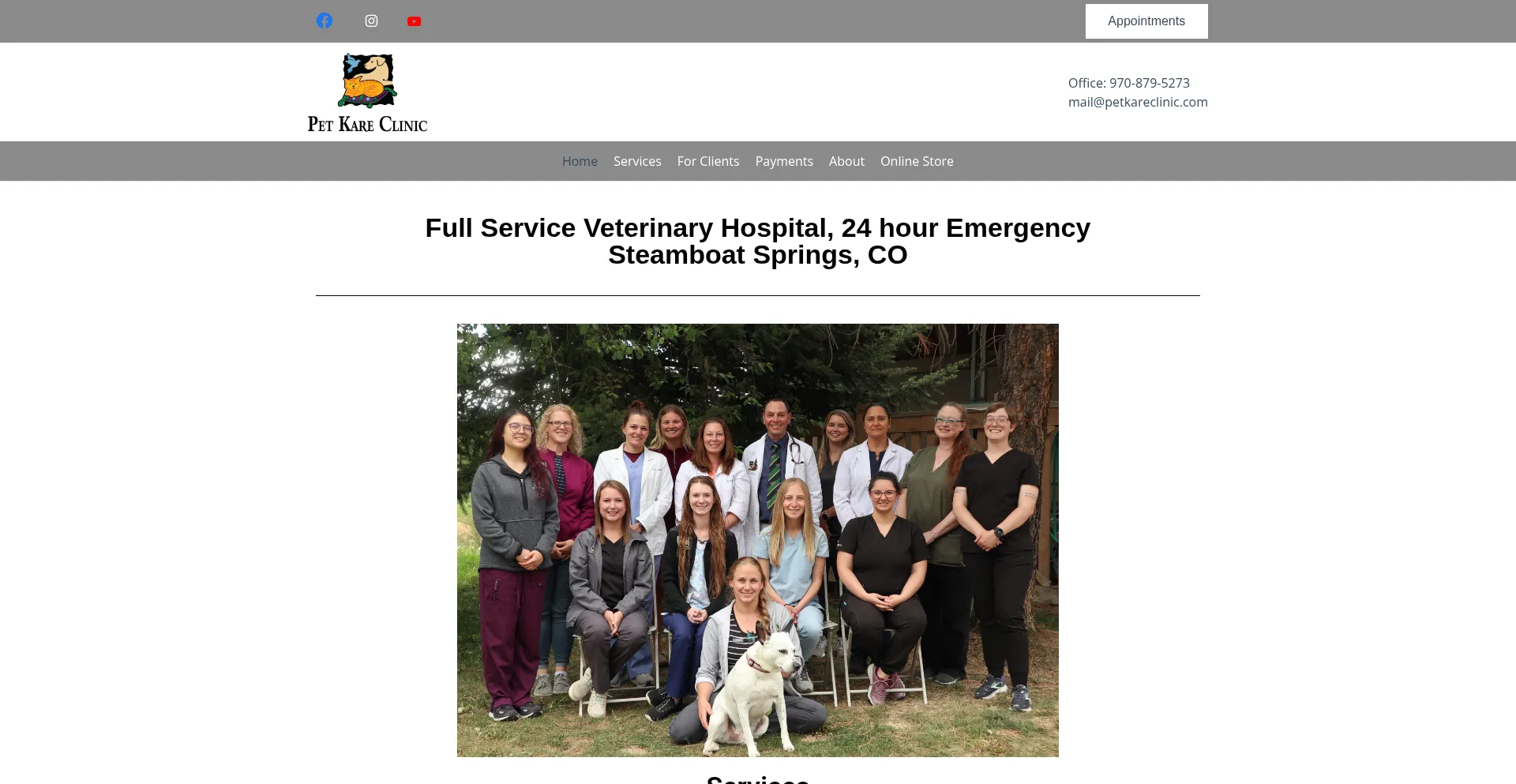 Website screenshot of Petkareclinic.com