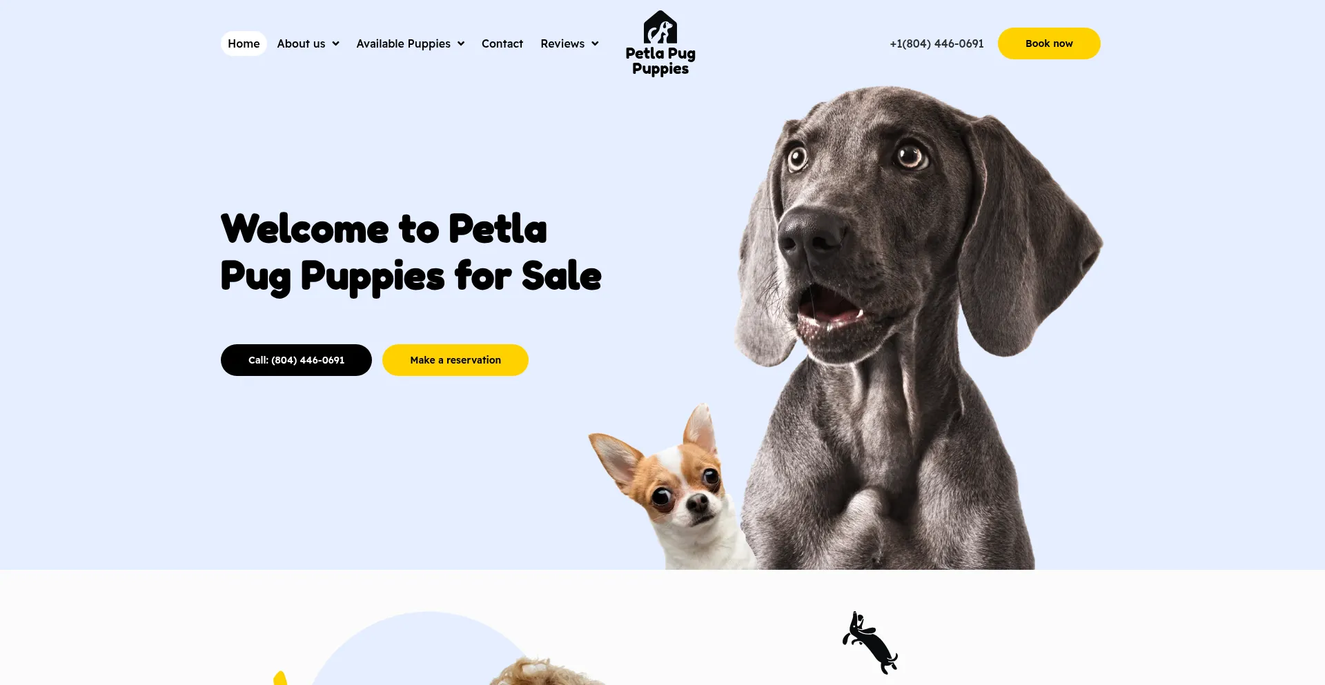 ¿És Seguro y Confiable Petlapugpuppies.com?