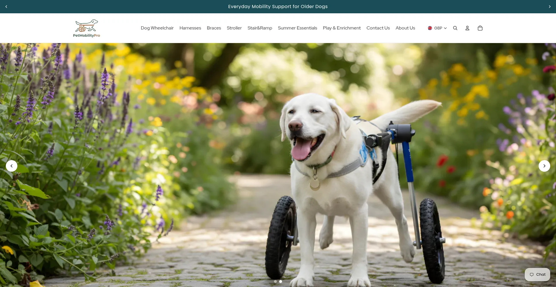 Petmobilitypro.com