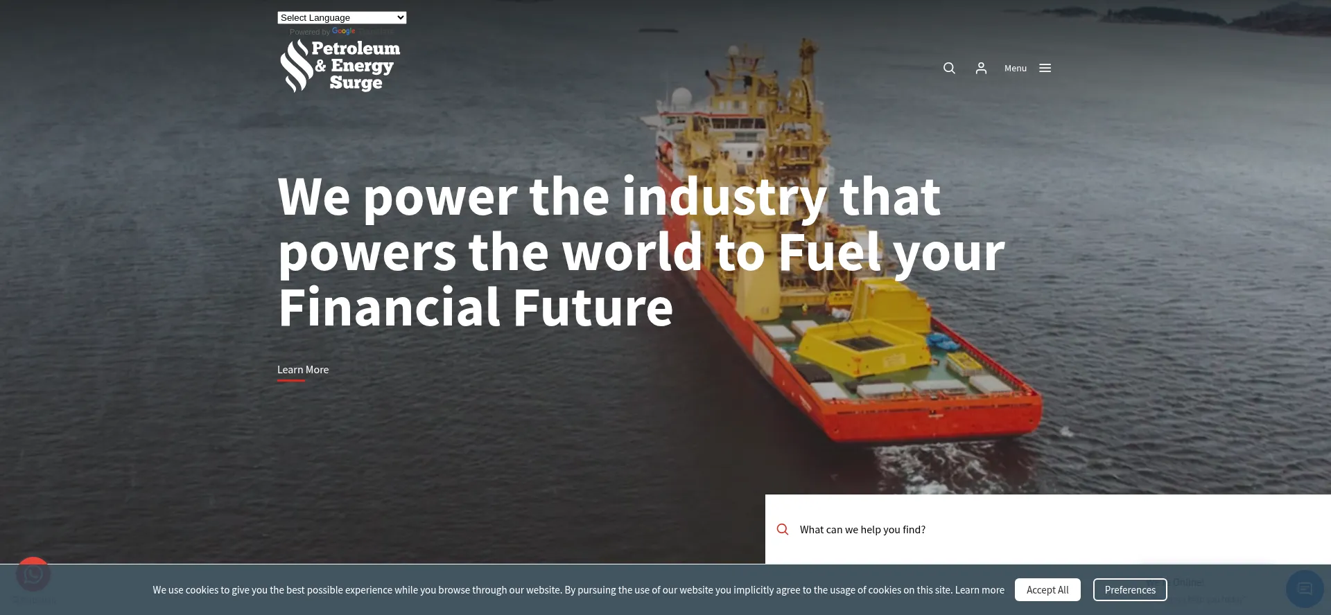Website screenshot of Petroleumandenergysurge.com