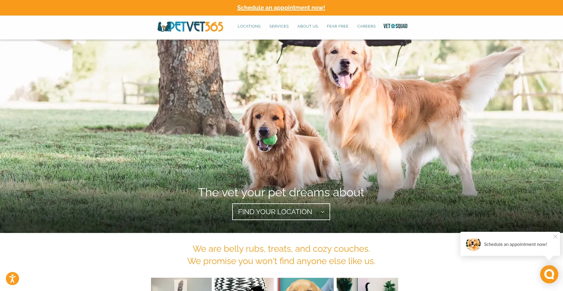 Website screenshot of Petvet365.com