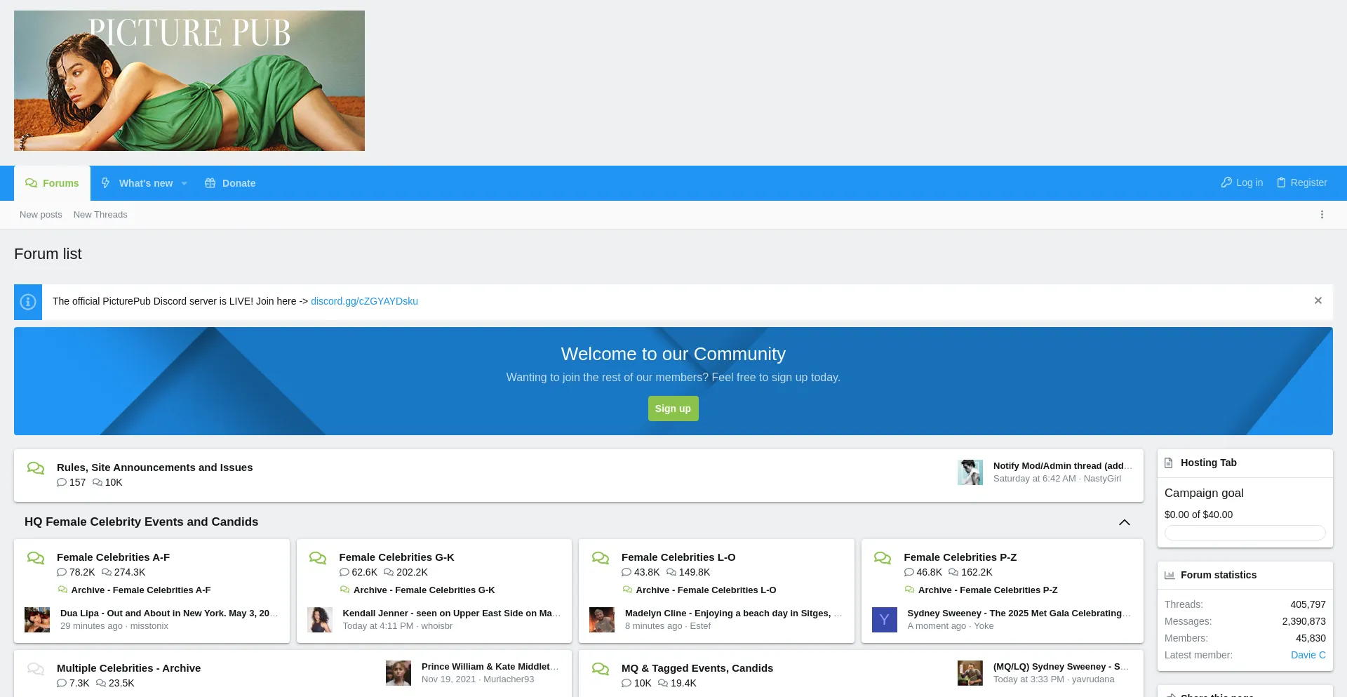 Website screenshot of Picturepub.net