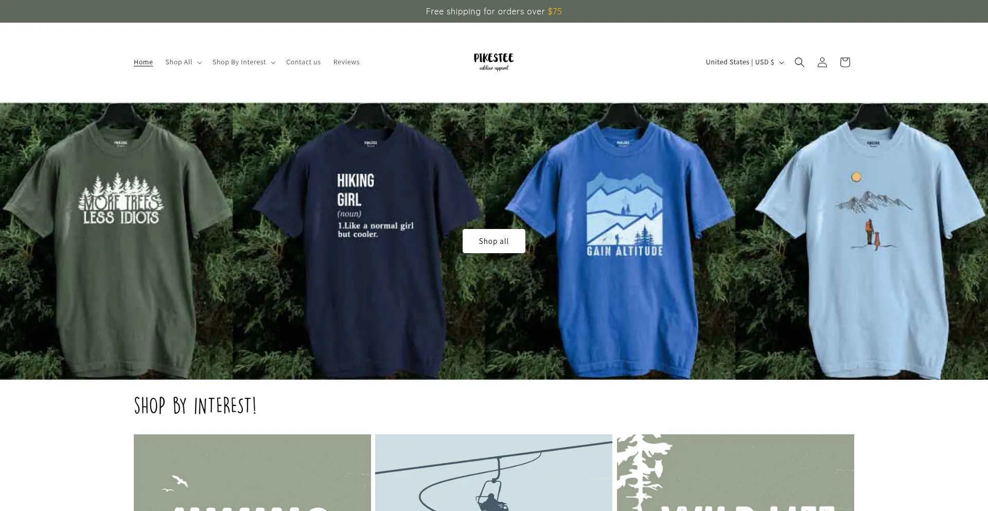 Website screenshot of Pikestee.com