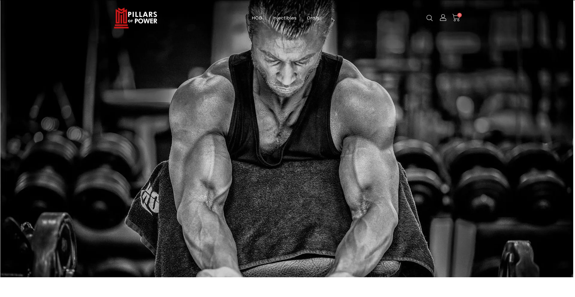 Website screenshot of Pillarsofpower.biz