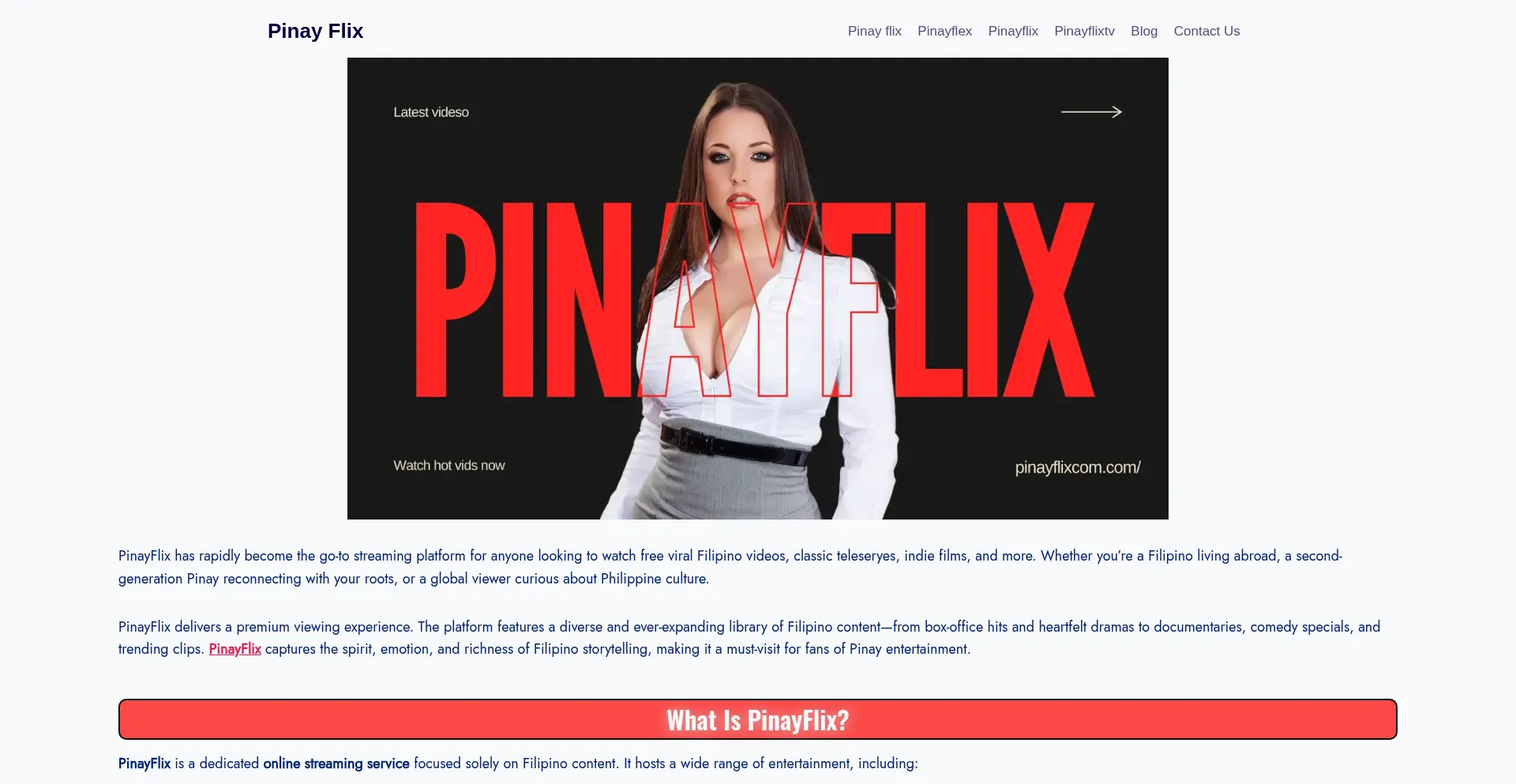 Pinayflixcom.com Screenshot