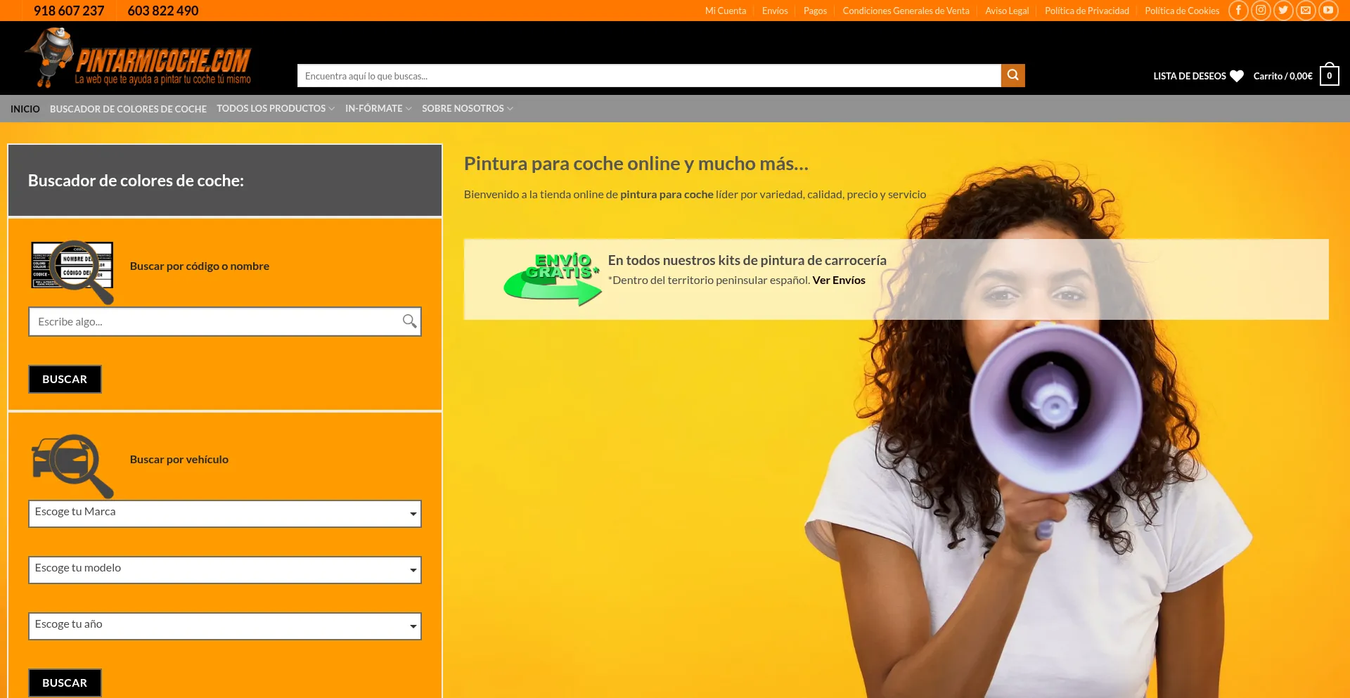 Pintarmicoche.com
