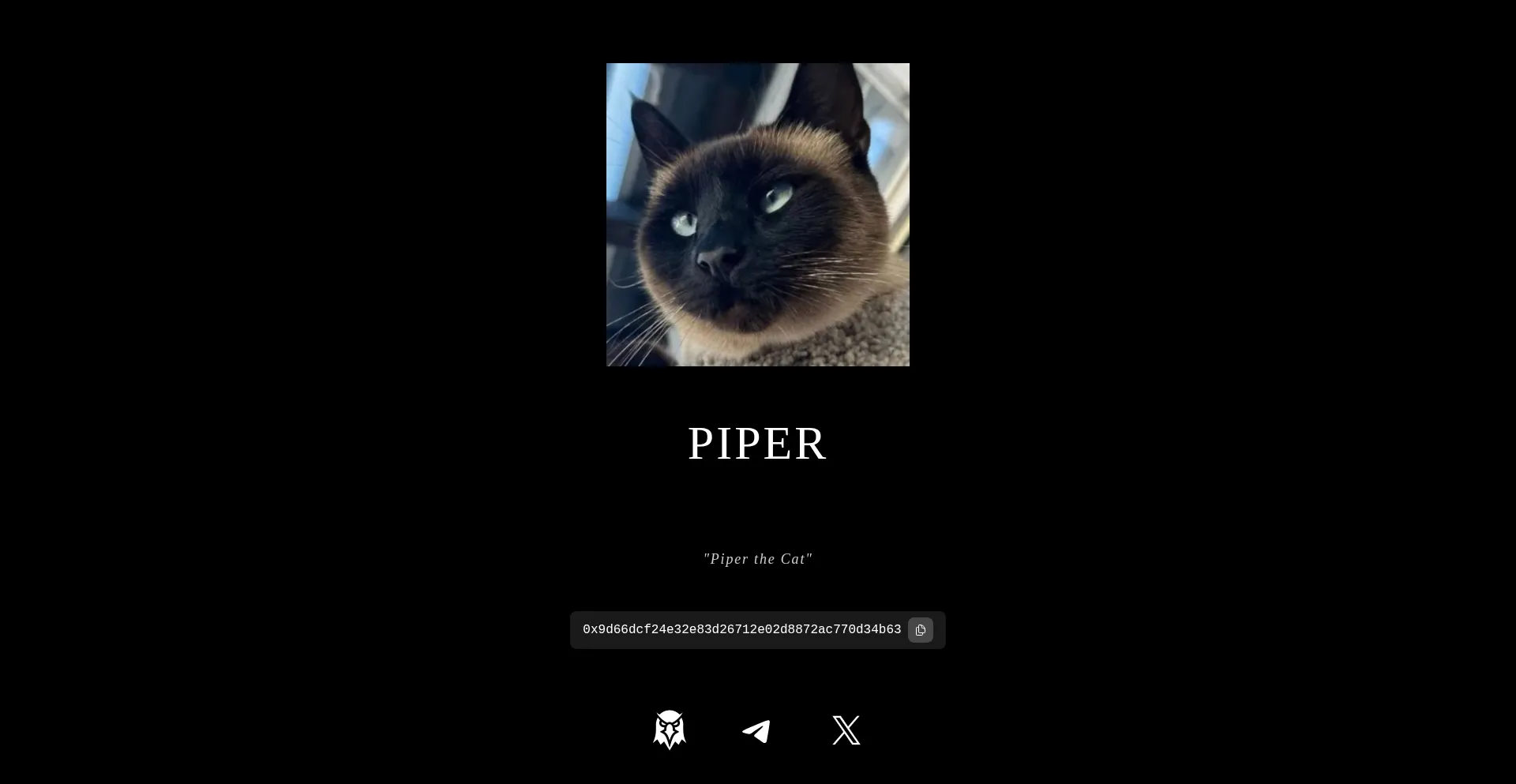 Piperthecat.fun