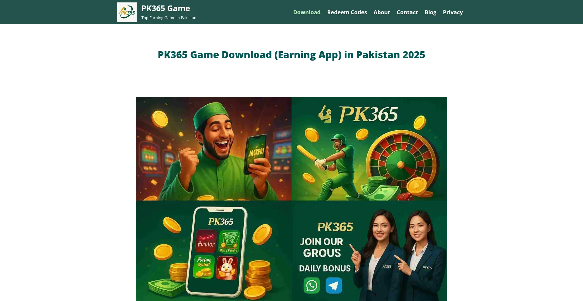 Website screenshot of Pk365.org.pk