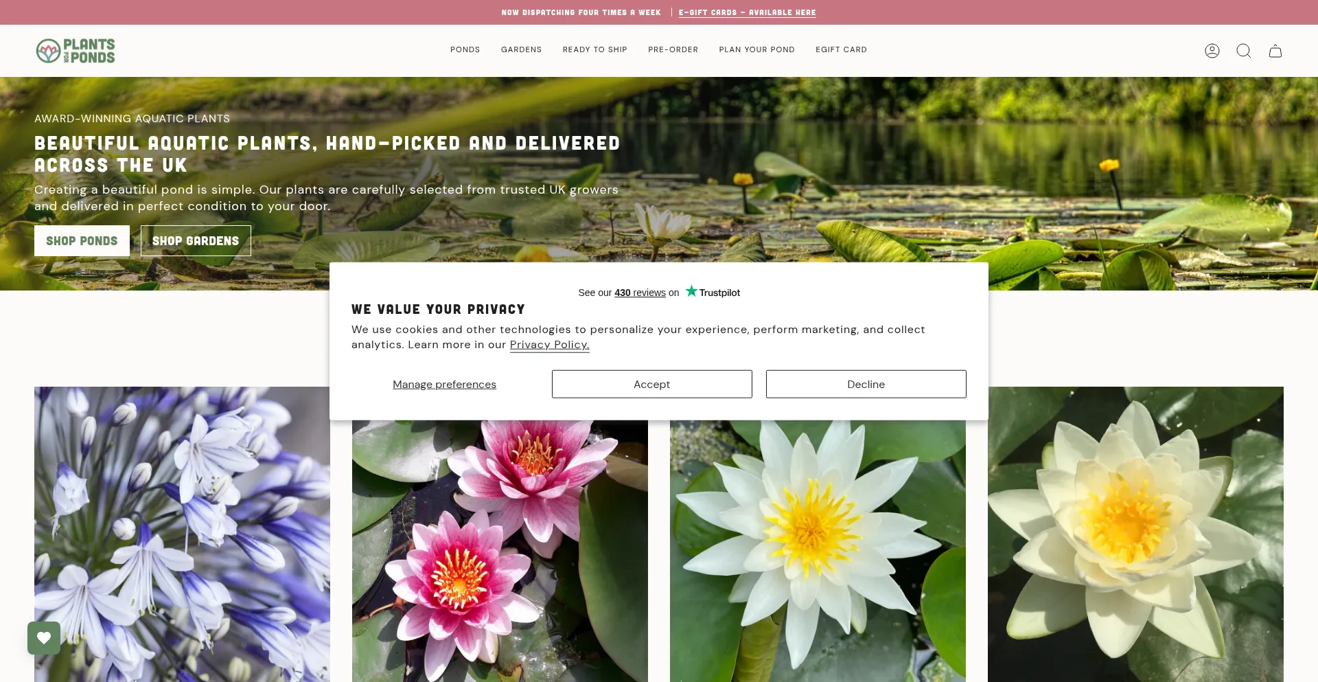 Plantsforponds.co.uk