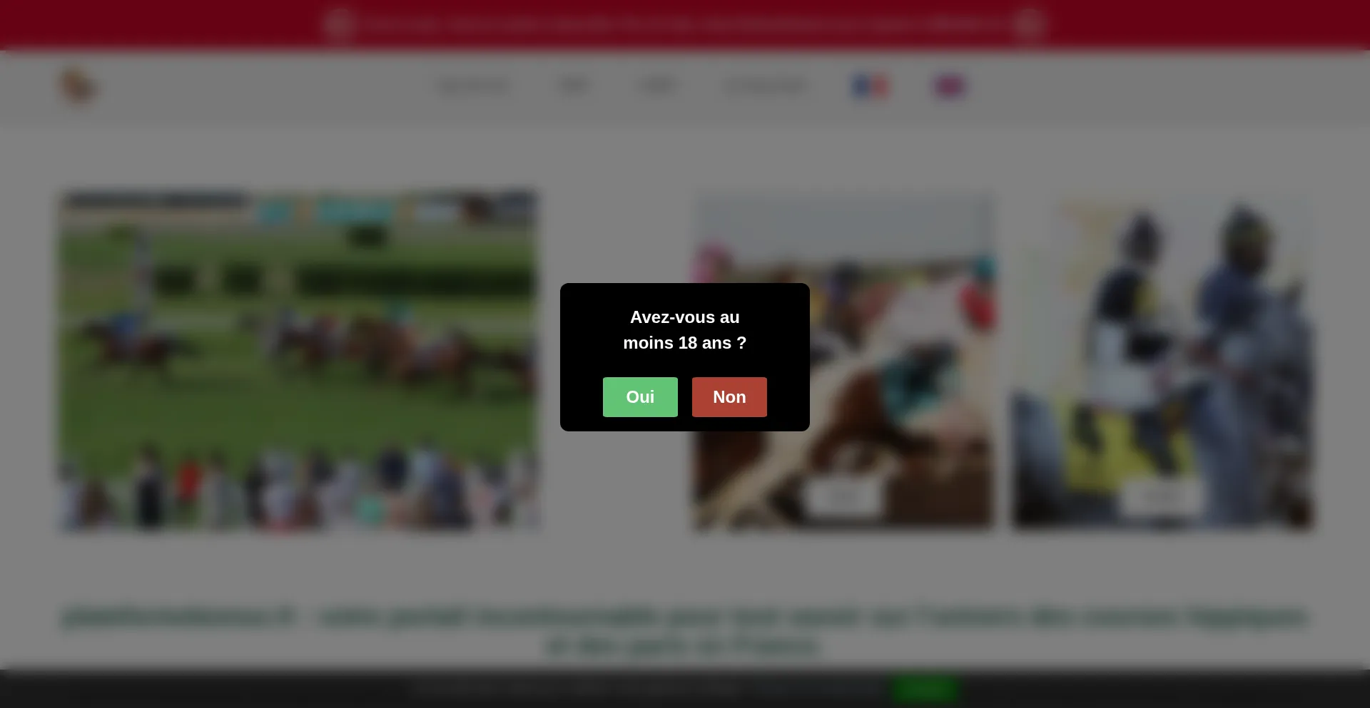 Website screenshot of Plateformebonus.fr