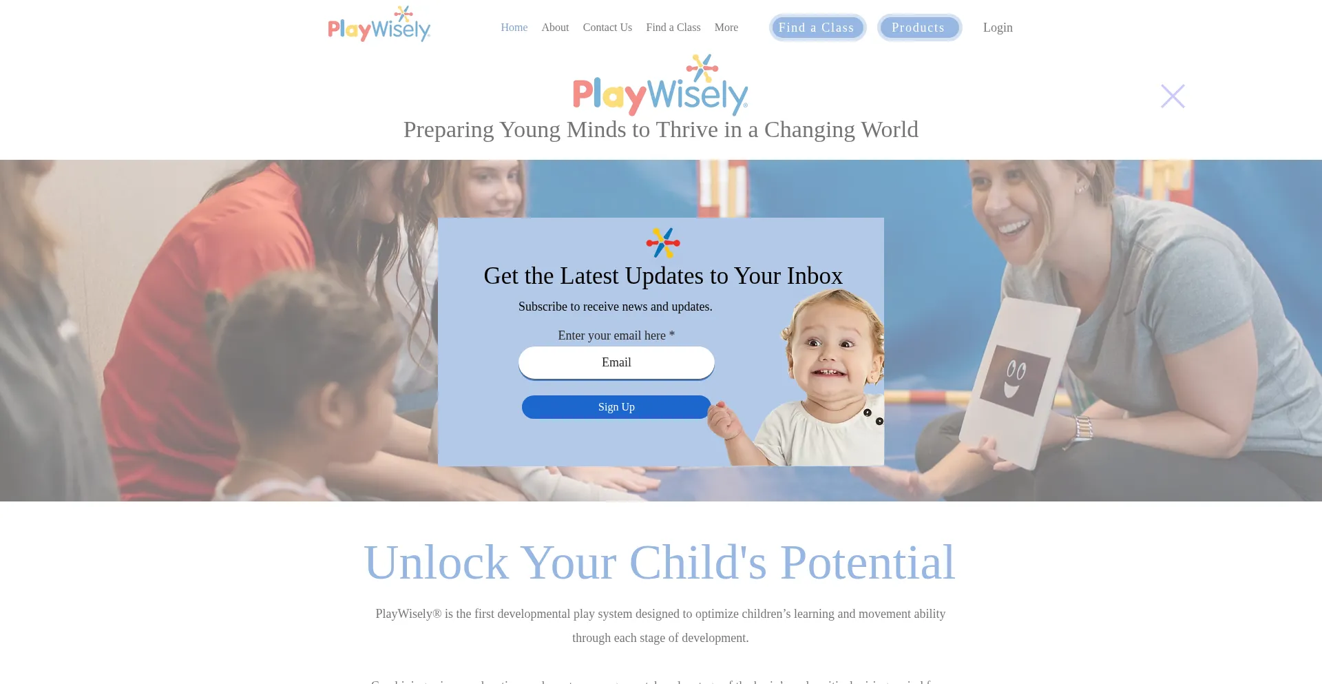 Website screenshot of Playwisely.com