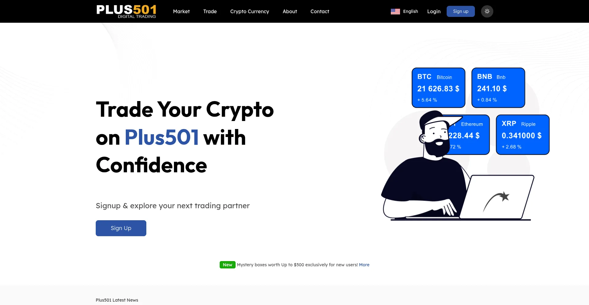 Website screenshot of Plus501.com