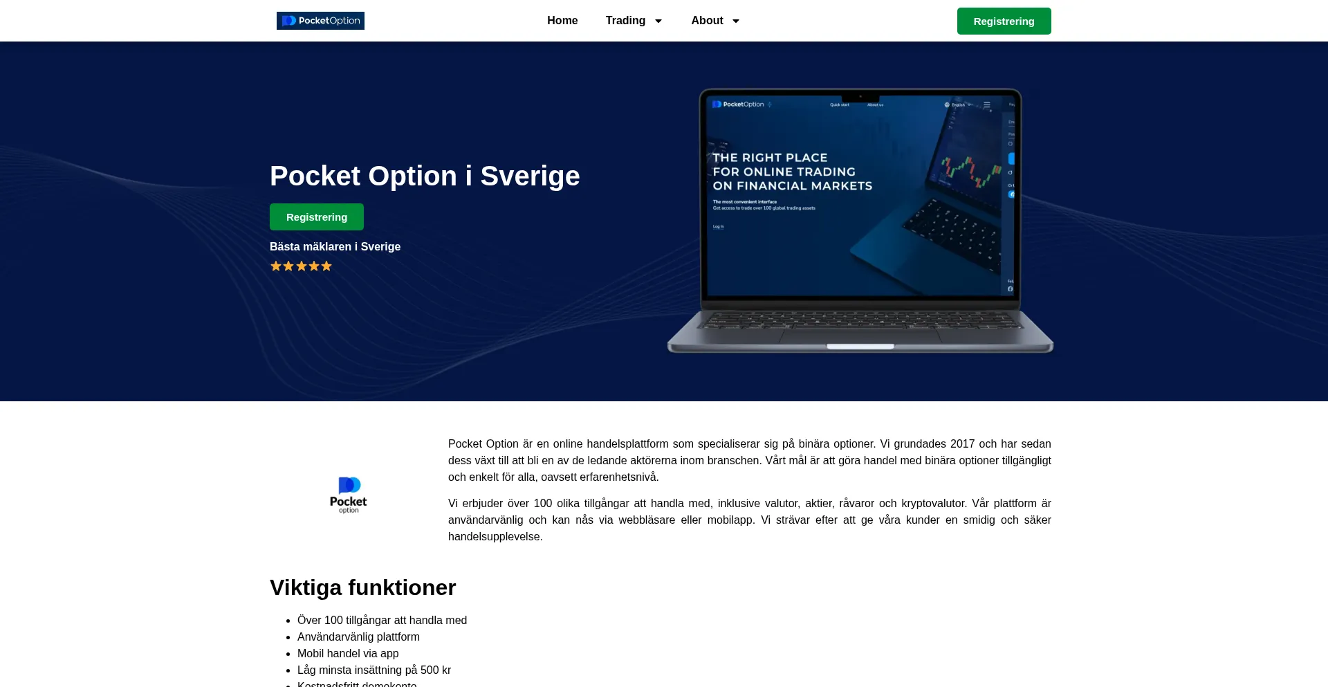 Website screenshot of Pocket-sweden.com