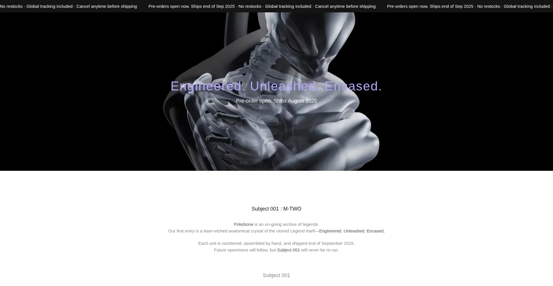 Website screenshot of Pokebone-studio.com