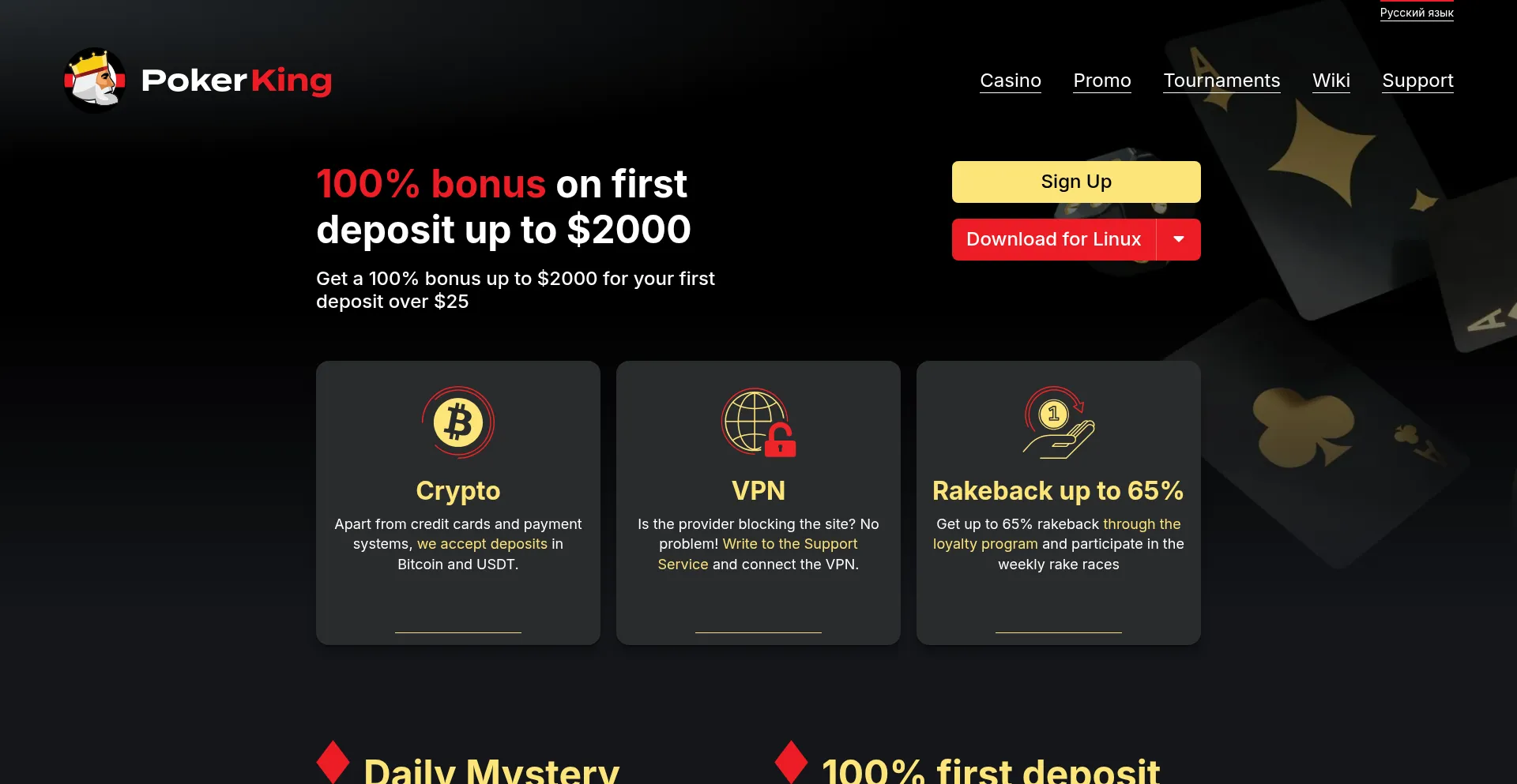 Website screenshot of Pokerking.com