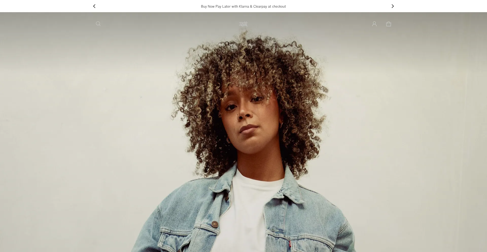 Website screenshot of Porterandcook.com