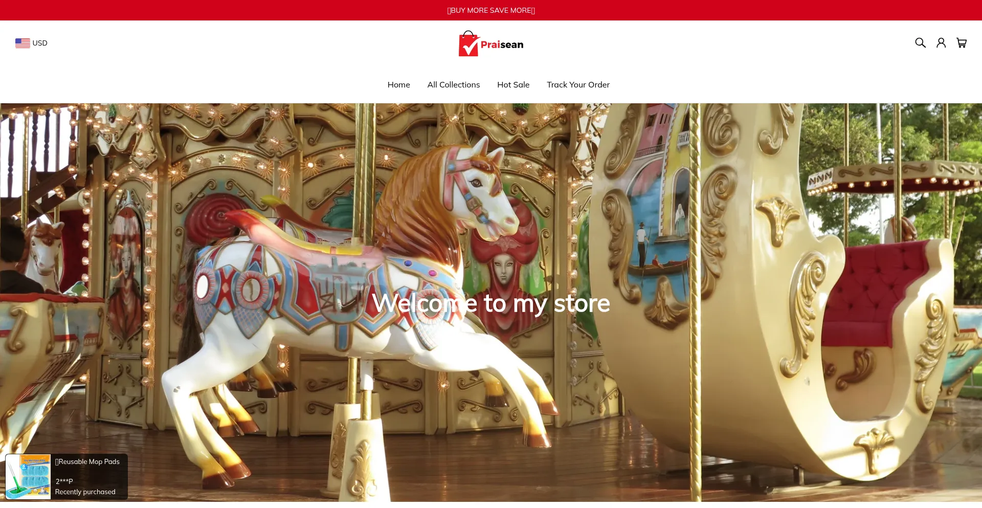 Website screenshot of Praisean.com