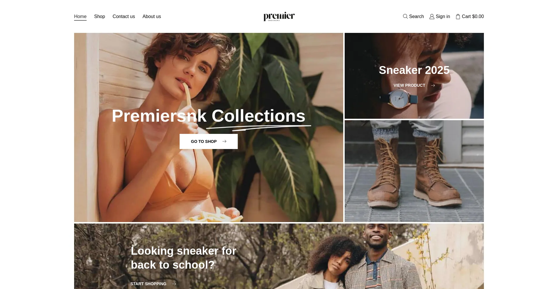 Website screenshot of Premiersnk.com