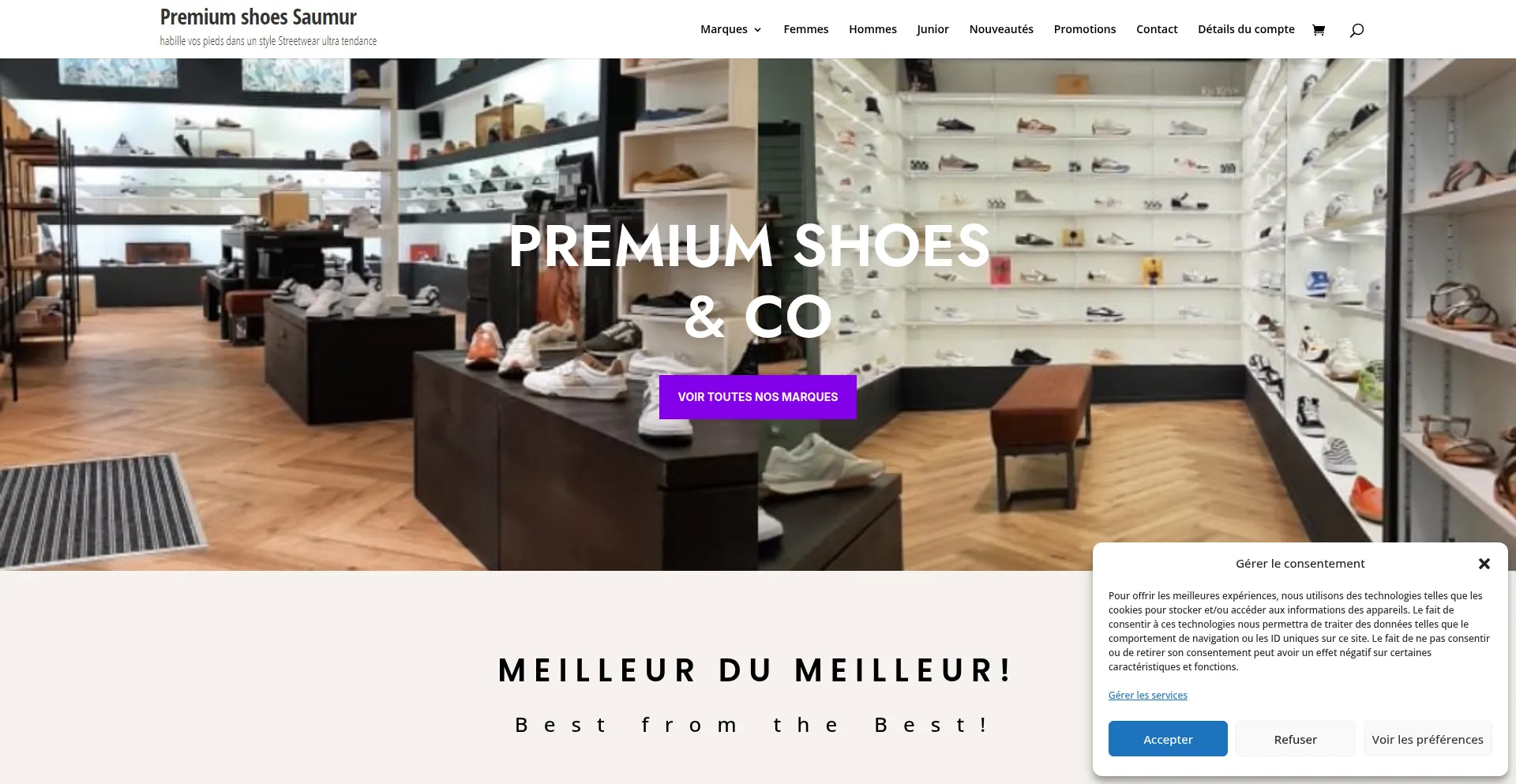 Website screenshot of Premiumsaumur-shoes.com