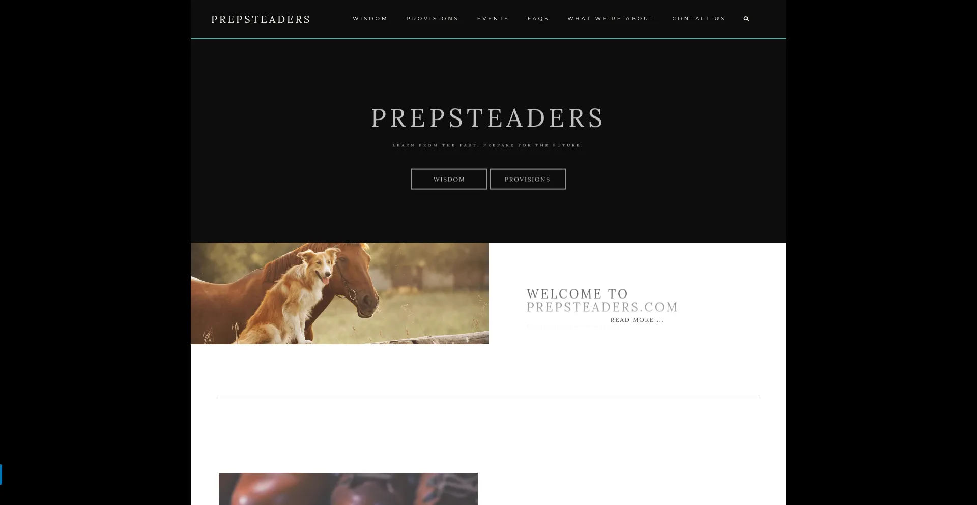 Website screenshot of Prepsteaders.com